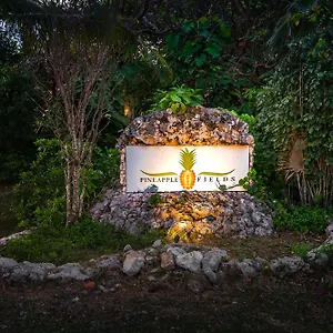 Pineapple Fields 4* Governor S Harbour